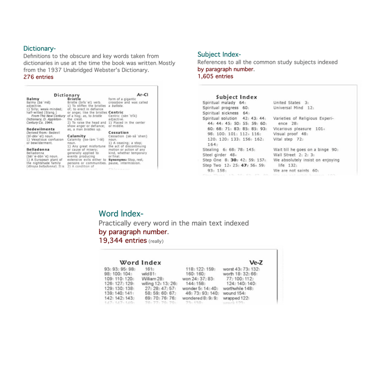 AA Big Book Study Edition - The Token Shop