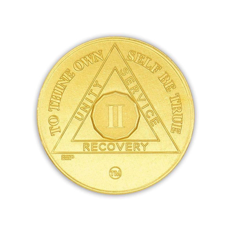 BSP Aluminum Years 1-10 AA Coins - The Token Shop