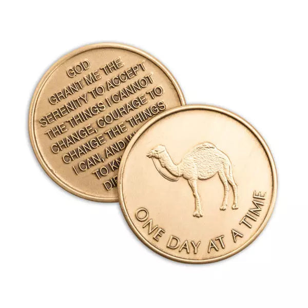 Camel ODAAT Bronze Affirmation Medallions - The Token Shop
