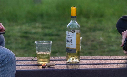 A Parents Guide to Helping Alcoholic Children - The Token Shop