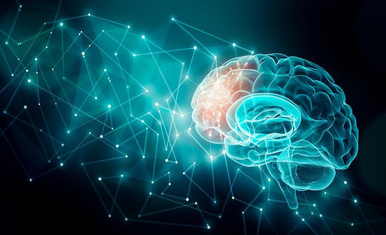 What Can We Learn From the Neuroscience of Addiction? - The Token Shop