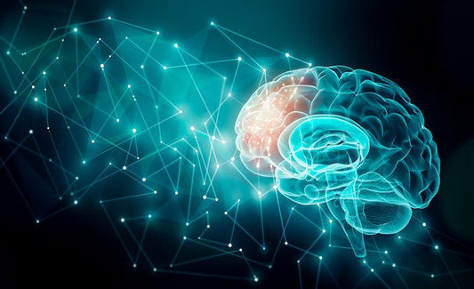 What Can We Learn From the Neuroscience of Addiction? - The Token Shop