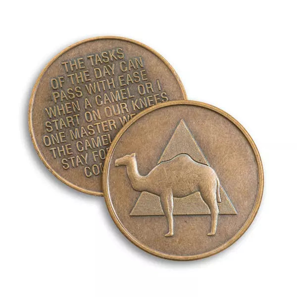 BSP Camel AA Token - The Token Shop