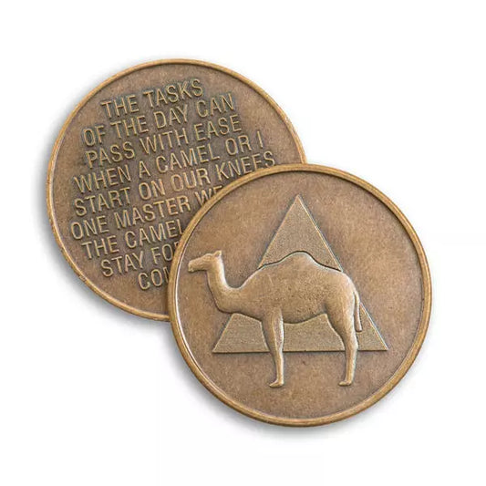 BSP Camel AA Token - The Token Shop