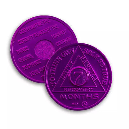 BSP Aluminum Months 1-11 AA Tokens - The Token Shop