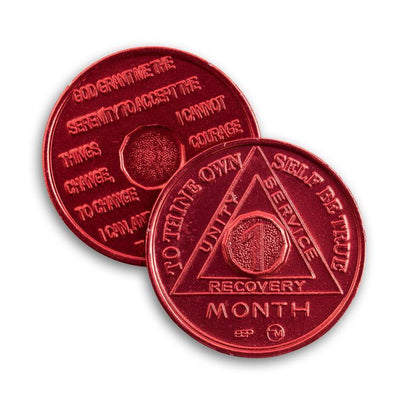 BSP Aluminum Months 1-11 AA Tokens - The Token Shop
