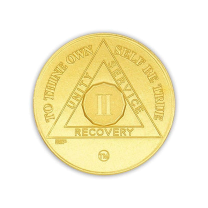 BSP Aluminum Years 1-10 AA Coins - The Token Shop