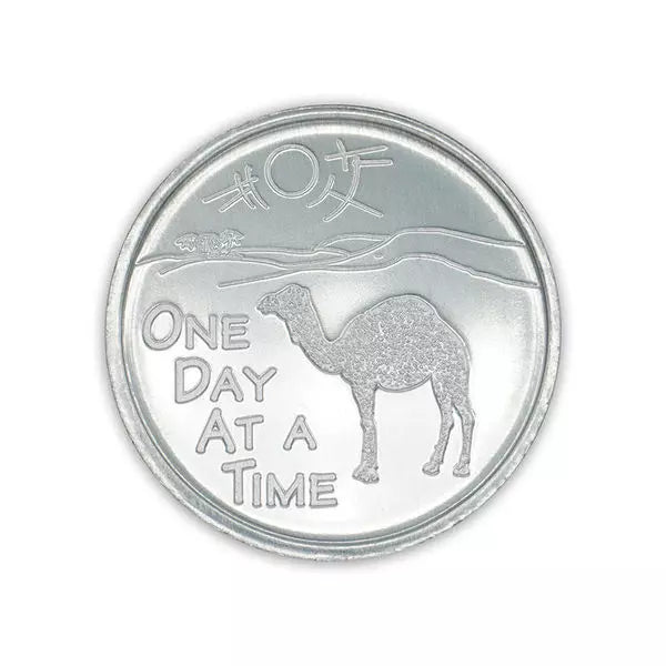 Camel One Day At A Time Aluminum Coin - The Token Shop