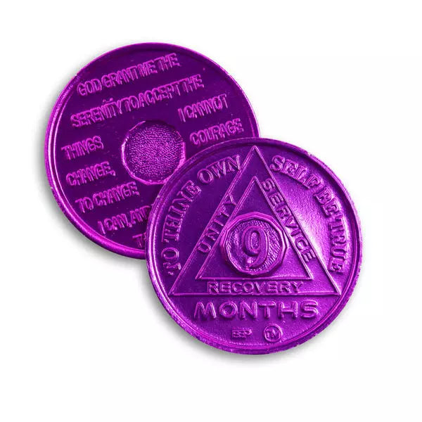 BSP Aluminum Months 1-11 AA Tokens - The Token Shop