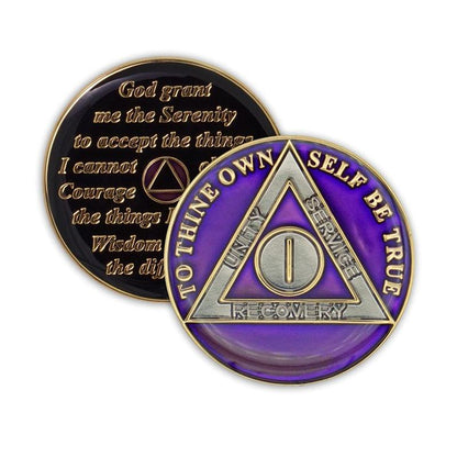 Purple Triplate AA Chips - The Token Shop