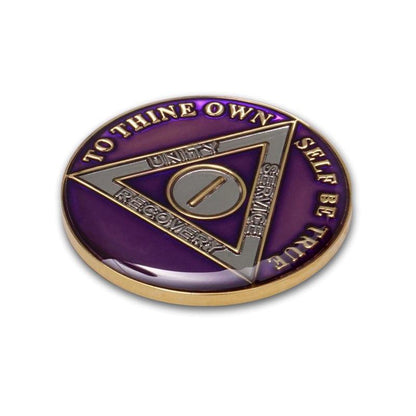 Purple Triplate AA Chips - The Token Shop