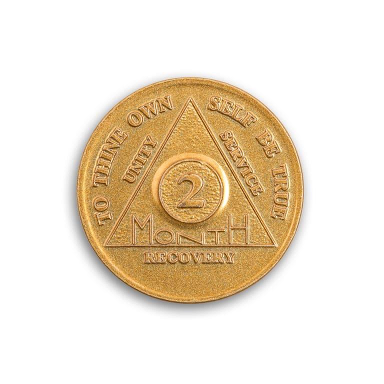 Wendells 2 Month AA Coins - The Token Shop