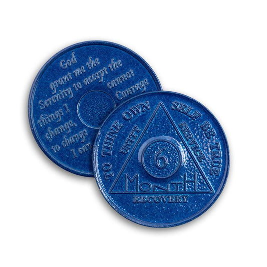 Wendells 6 Month AA Coins - The Token Shop