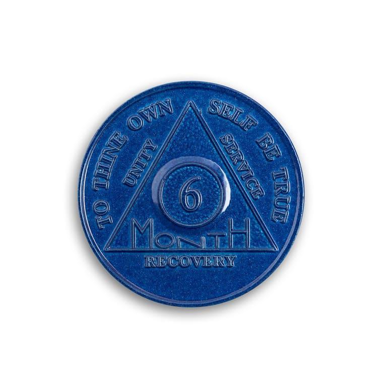 Wendells 6 Month AA Coins - The Token Shop