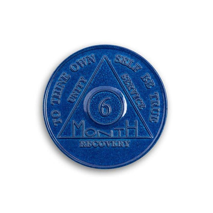 Wendells 6 Month AA Coins - The Token Shop