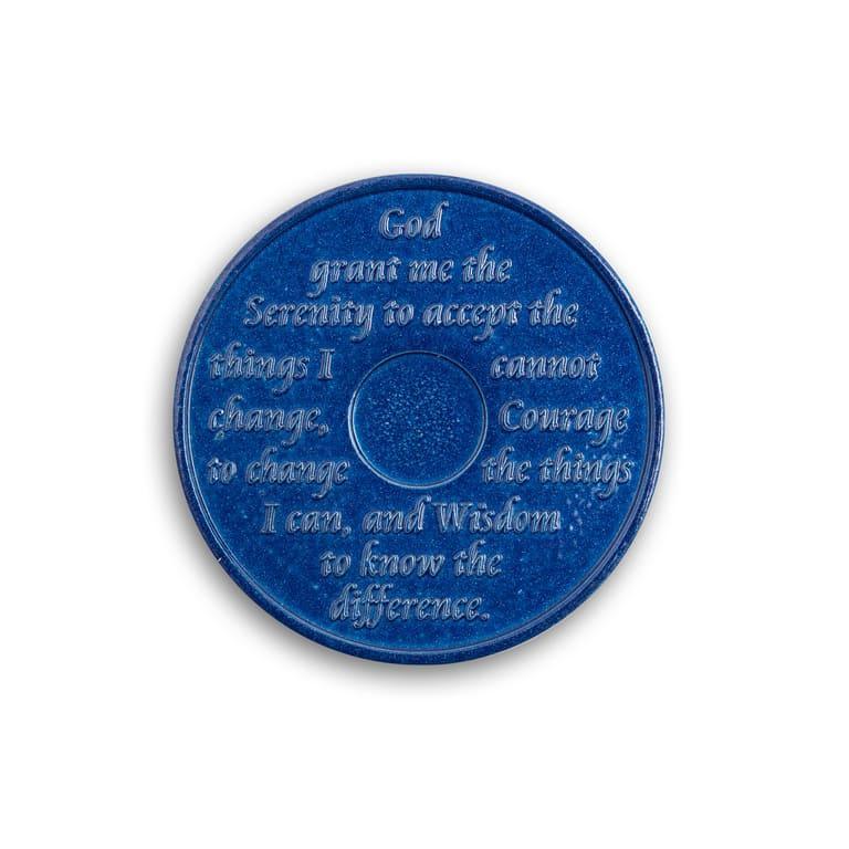 Wendells 6 Month AA Coins - The Token Shop