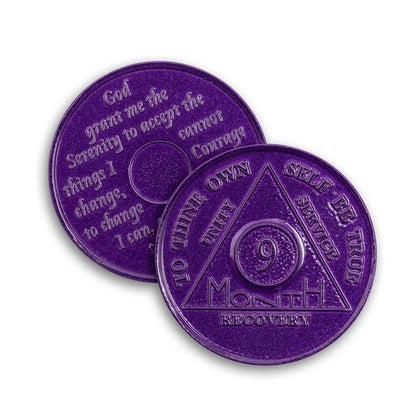 Wendells 9 Month AA Coins - The Token Shop