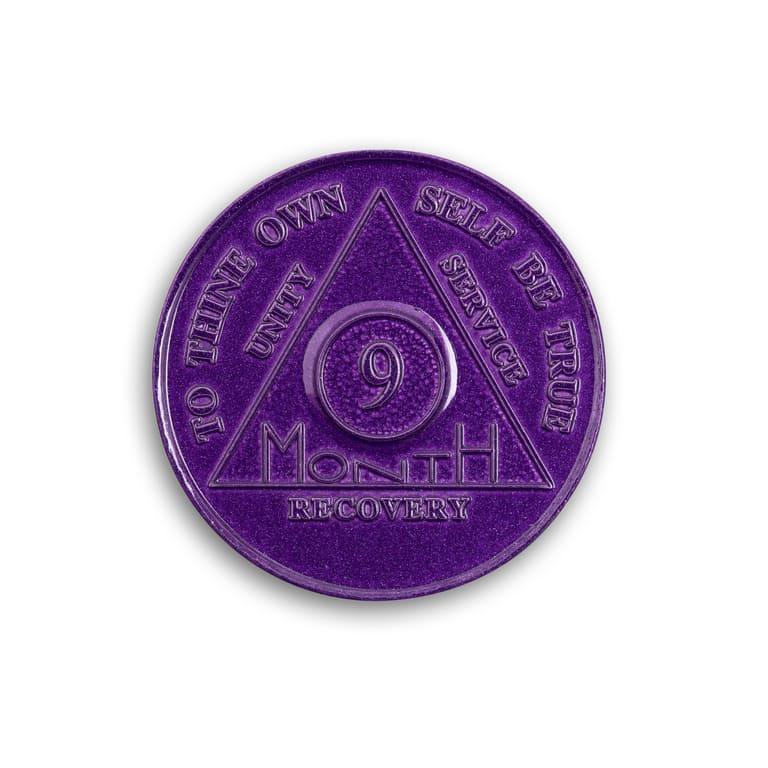 Wendells 9 Month AA Coins - The Token Shop